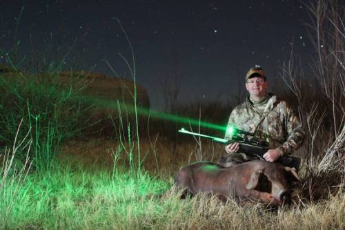 best green light for hunting at night