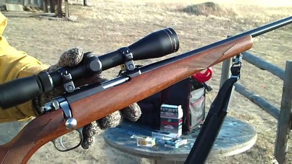 The 5 Best Scopes For 22 Mag Rifle Gun Goals