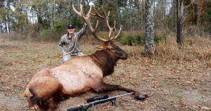 elk hunting tips
